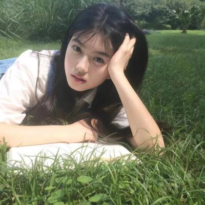 热斗小斑马