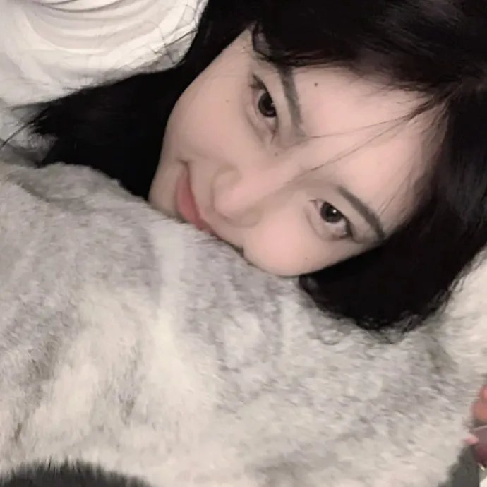 穿长筒靴的猫